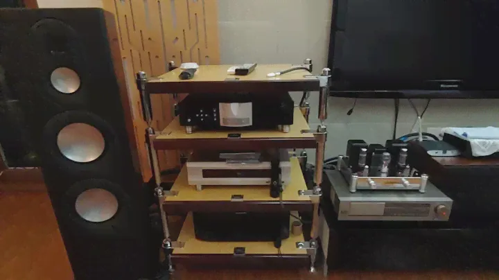 Reisog Boyuu A10+Monitor Audio pl 300 ll